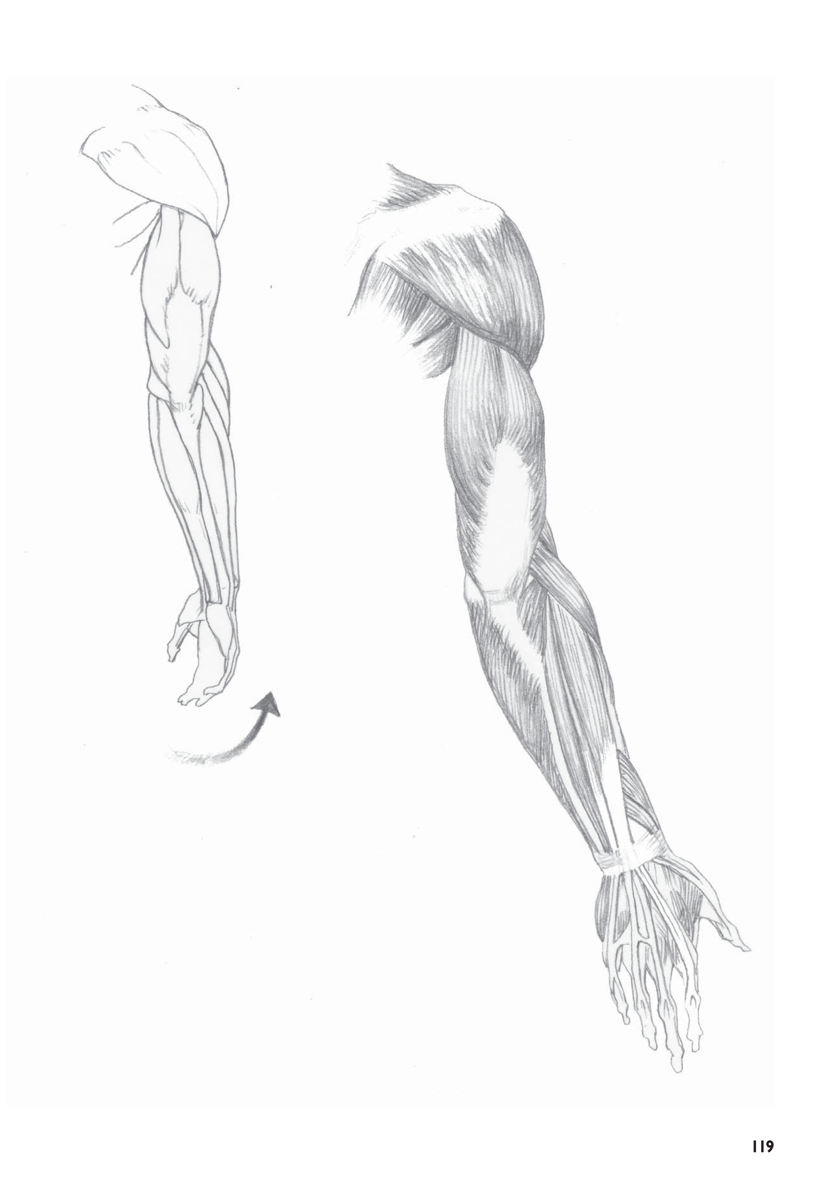 آموزش نقاشی طراحی سیاه قلم شهرری